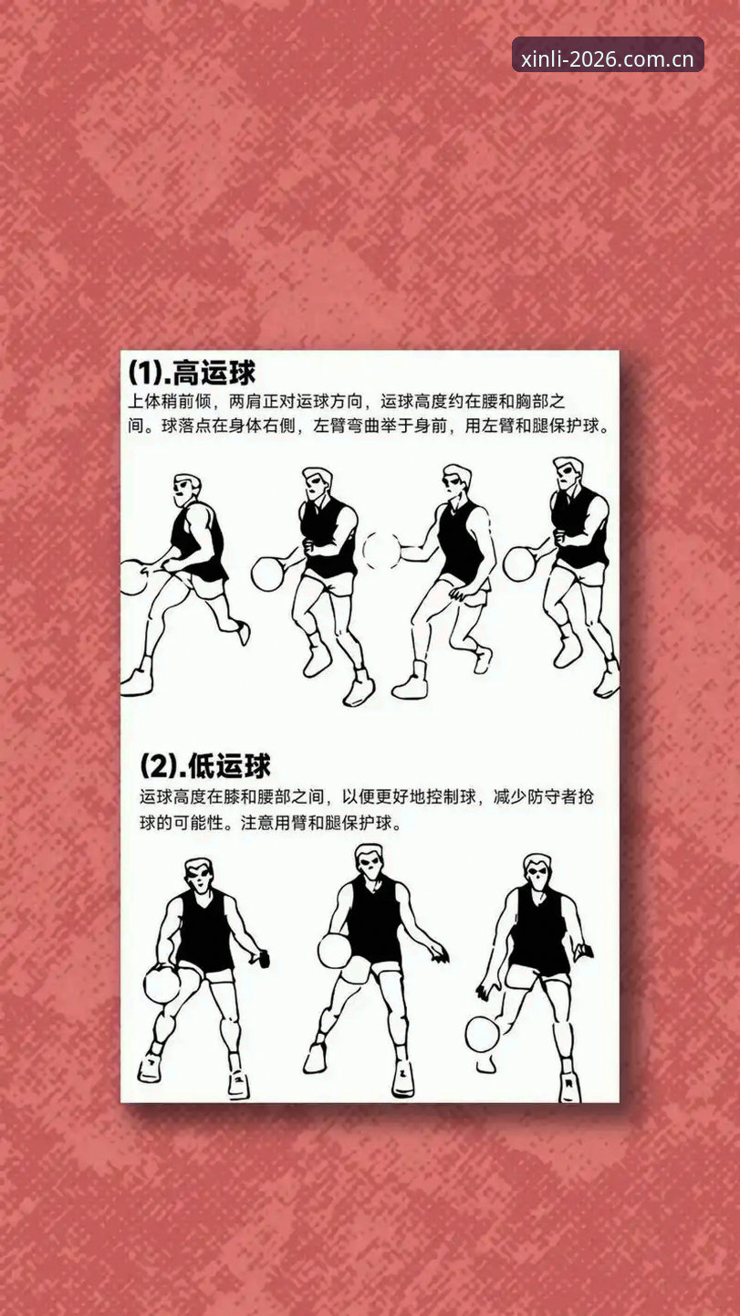 新利体育手机版官网必备 新利体育手机版官网必备的5个实用技巧:从入门到熟练